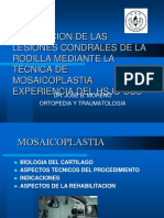 Mosaicoplastia 2