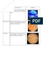 Procedimiento, Resultados, Discusión de Resultados - Practica Nº 3