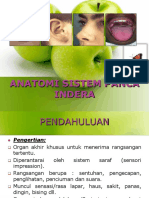 Anatomi Sistem Panca Indra