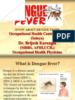 Know About Dengue Fever
