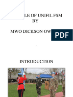 The Role of Unifil FSM
