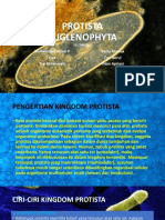 Kingdom Protista Euglenophyta