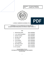 Laporan Akhir Desa Adimulya Fix Coy