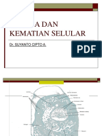 Cedera Dan Kematian Selular