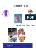 FISIOLOGIA RENAL.ppt