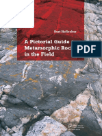 Metamorphic Rocks - Hollocher - 2014 PDF