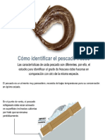 3.-CALIDAD_ORGANOLEPTICA_DE_LOS_PESCADOS.ppt