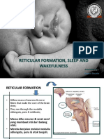 Fisiologi Tidur