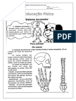 Atividade 3o, 4o e 5o Ano Sistema Locomotor