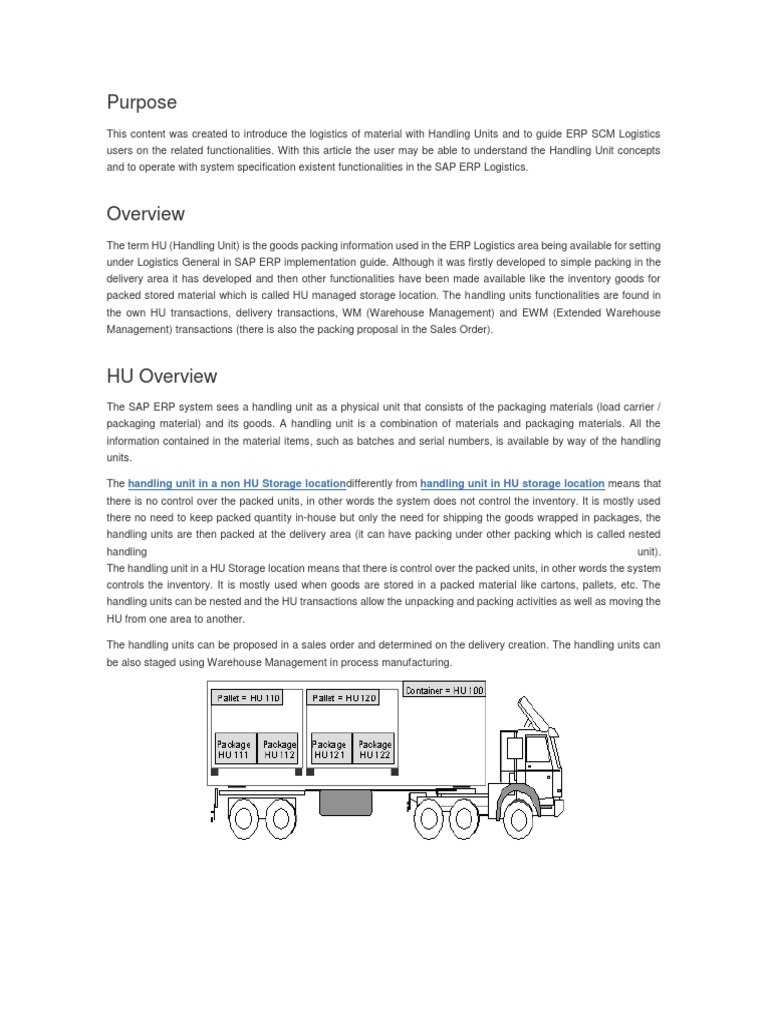 Understanding Handling Units in SAP ERP | PDF | Packaging And Labeling ...