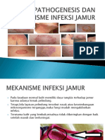 Gejala Pathogenesis Dan Mekanisme Infeksi Jamur
