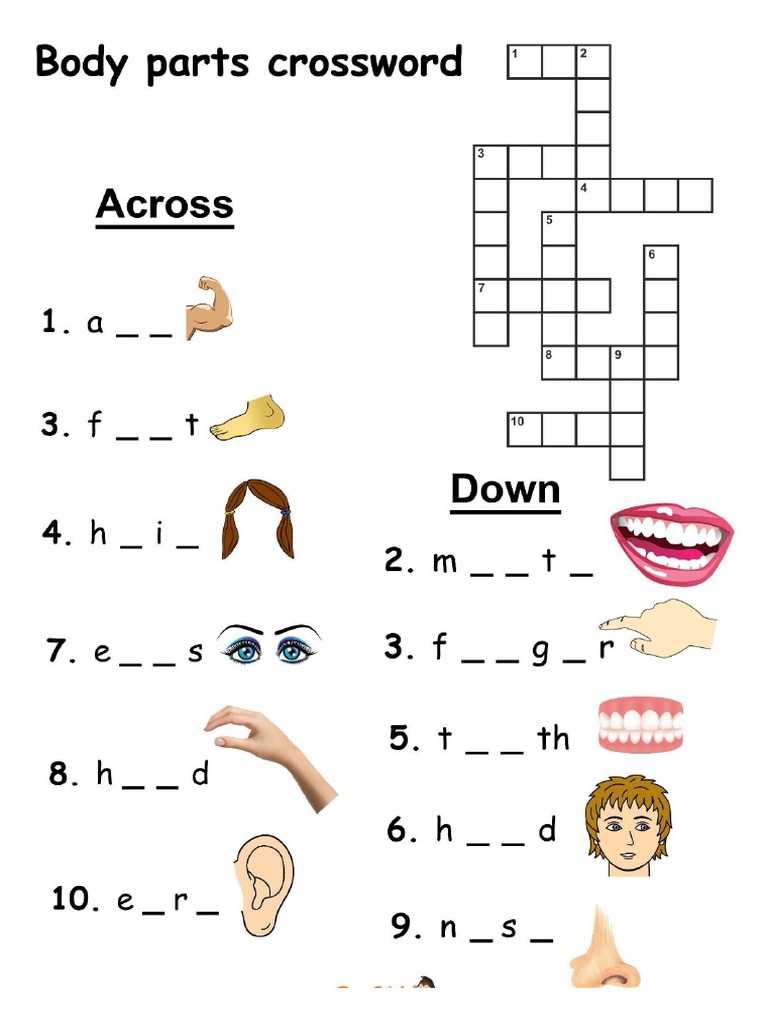 Body Parts Crossword PDF