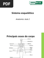Aula 2 - sistema esquelético