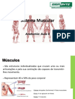 Aula 4 - Sistema Muscular