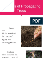 Methods of Propagating Trees