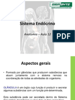 Sistema Endócrino - Anatomia e Efeitos Hormonais