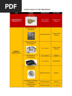 Index Fossils of The Philippines (Edited)