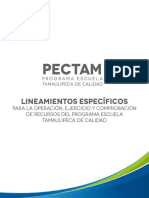 Lineamientos Pectam 2019 Final 14-05-2019 PDF