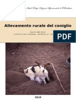 2015 Coniglio Rurale