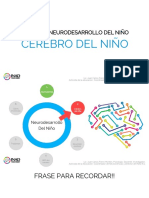 1.2 Cerebro Del Niño PDF