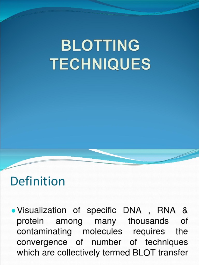 Overview of Blotting Techniques | PDF | Blot (Biology) | Gel ...
