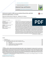 Asteraceae Species With Most Prominent Bioactivity and Their Potential Applications: A Review