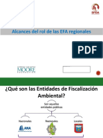 04-Alcances-del-rol-de-las-EFA-regionales