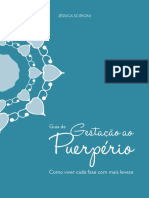 Guia da gestação ao Puerpério - como viver cada fase com mais leveza.pdf
