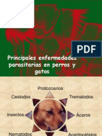 Download Principales enfermedades parasitarias en perros y gatos by dumaed SN44235115 doc pdf