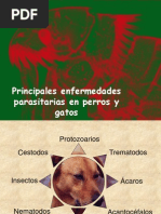 Download Principales enfermedades parasitarias en perros y gatos by dumaed SN44235115 doc pdf