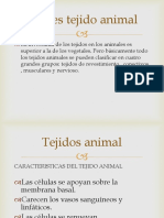 3 Tejidos-Epiteliales-Y-Animales