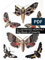 Insects.pdf