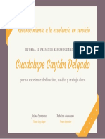 Reconocimiento A La Excelencia en Servicio PDF