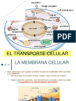 Transportecelular