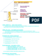 Ossa Longa - Duge Kosti