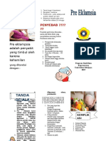 Leaflet Pre Eklamsi