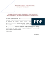 Diligencia Del Alguacil Consignado El Recibo de La Notificac