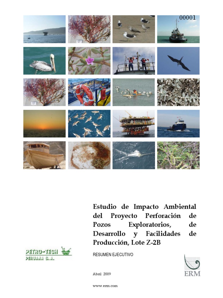 Estudio de Impacto Ambiental - Perforacion de Pozos Exploratorios | PDF ...