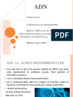 ADN-PROIECT.pptx