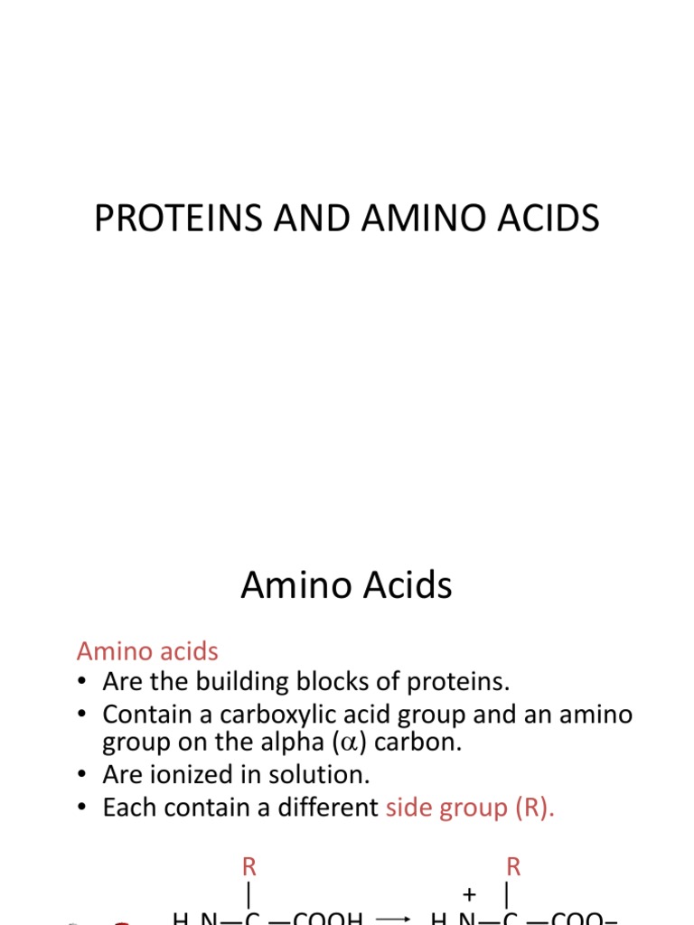 Proteins and Amino Acids | PDF | Amino Acid | Carboxylic Acid