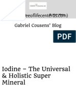 Iodine - The Universal and Holistic Super Mineral - Dr. Gabriel Cousens