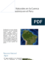 Recursos Naturales mas Relevantes en la Cuenca Amazónica.pptx