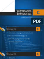 Programación Estructurada PDF