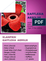 Rafflesia Arnoldii