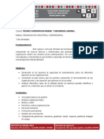 Programa Organizacion PDF