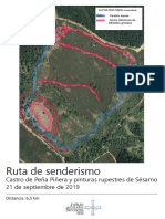 CastroPeñaPiñera PDF