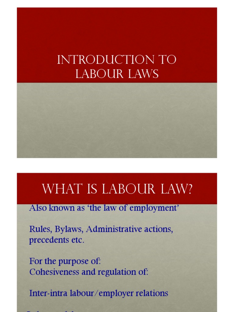 Overview of Labour Laws and Disputes | PDF | International Labour ...