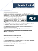 Introduccion, Requisitos y Formacion Del Detective Privado PDF