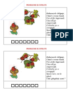 Probleme Ilustrate