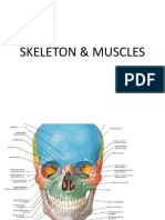 5, 6. Skeleton & Muscles